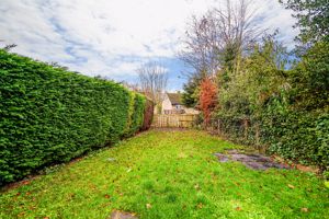 Photo 22- click for photo gallery